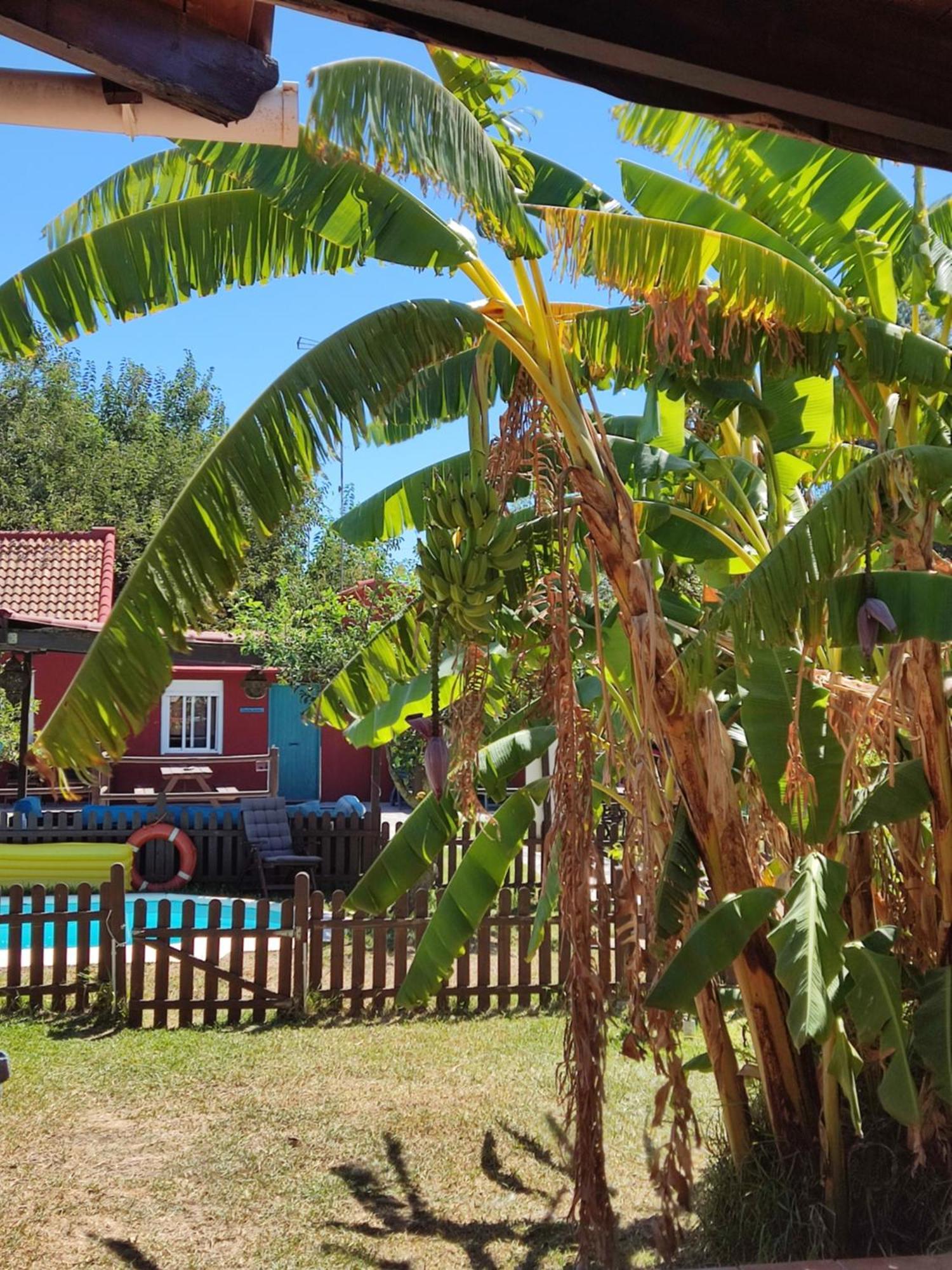 Karma House Guest House Casares Ngoại thất bức ảnh